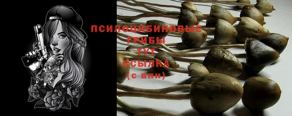 2c-b Кинешма