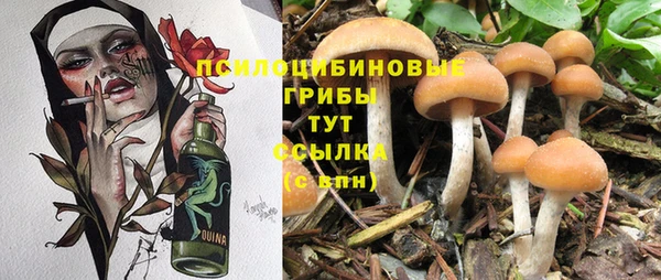 2c-b Кинешма