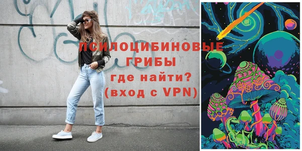 молекула духа Киреевск