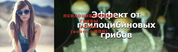 таблы Карпинск