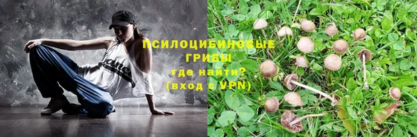 2c-b Кинешма