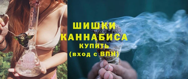 молекула духа Киреевск