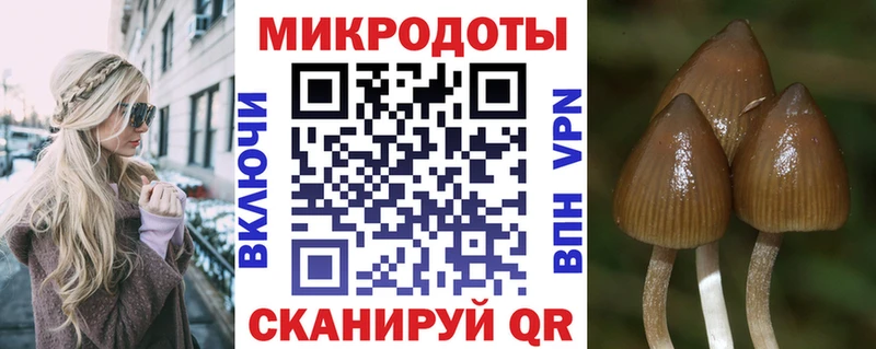Купить  Красногорск  Галлюциногенные грибы GOLDEN TEACHER 